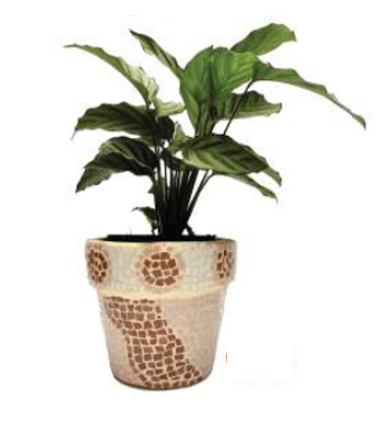 Big Planter Pot - L: PRAG-006