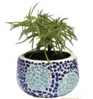 Big Planter Pot - M : PRAG-005
